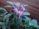 P240712_20.28_[01]