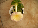 IMAG0010