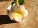 IMAG0016