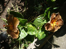 P1160228