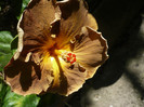 P1160230