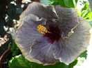 P1160236