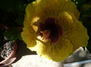 P1160237