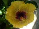 P1160238