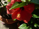 P1160240