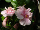 P1160241
