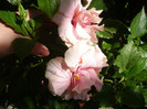 P1160242