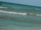 DSCN8245