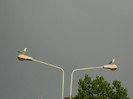 DSCN8259