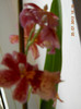 25,07.2012 003