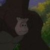 tarzan-321355l-thumbnail_gallery