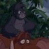 tarzan-905232l-thumbnail_gallery