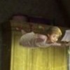 tinker-bell-a-midsummer-storm-616543l-thumbnail_gallery