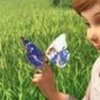 tinker-bell-a-midsummer-storm-696937l-thumbnail_gallery