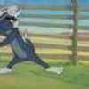 tom-and-jerry-833744l-thumbnail_gallery