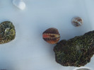 DSCF6032
