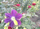 Photo0409