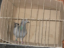 Picture 004