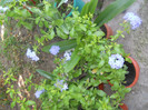 DSCN3088