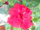 DSCN3097