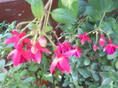 DSCN3102