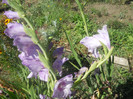 DSCN3104