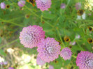DSCN3115