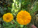 DSCN3117