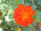 DSCN3129