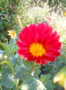 DSCN3139