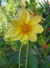DSCN3140