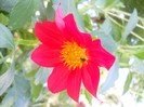 DSCN3141