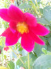 DSCN3143