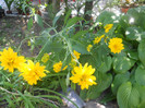 DSCN3147