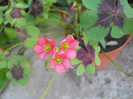 DSCN3155