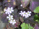 DSCN3156