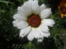 DSCN3160