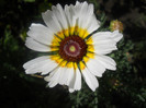 DSCN3162