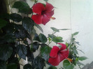 2012-07-26 09.26.42