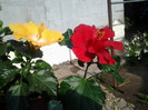 2012-07-26 09.28.52