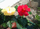 2012-07-26 09.29.02