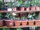 2012-07-26 09.32.12
