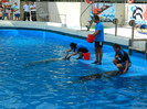 DSCN8456