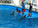 DSCN8457