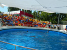 DSCN8462