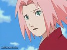 sakura 4