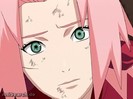 sakura 5