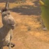 Shrek_Forever_After_1264089732_2_2010