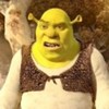 Shrek_Forever_After_1264089784_4_2010