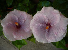 P1160255